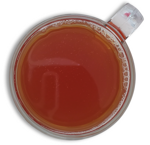 
                  
                    Load image into Gallery viewer, Cranberry Blood Orange Black Tea
                  
                