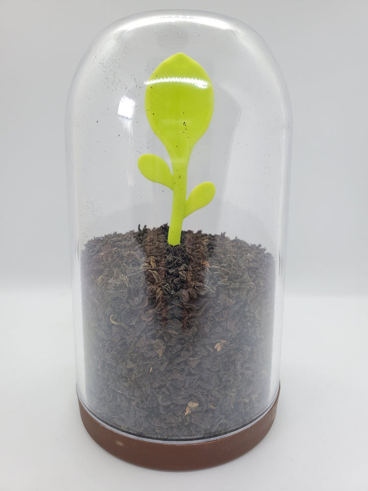 
                  
                    Load image into Gallery viewer, Tea Jar with Tree Shape Spoon
                  
                